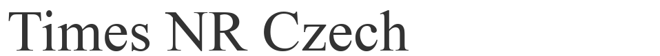 Times NR Czech font preview