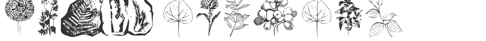 Botanicals font preview