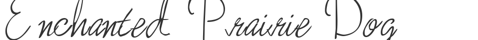 Enchanted Prairie Dog font preview