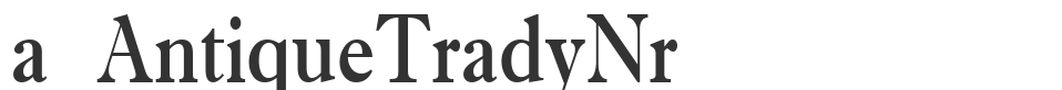 a_AntiqueTradyNr font preview