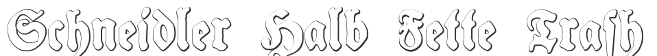 Schneidler Halb Fette Trash font preview