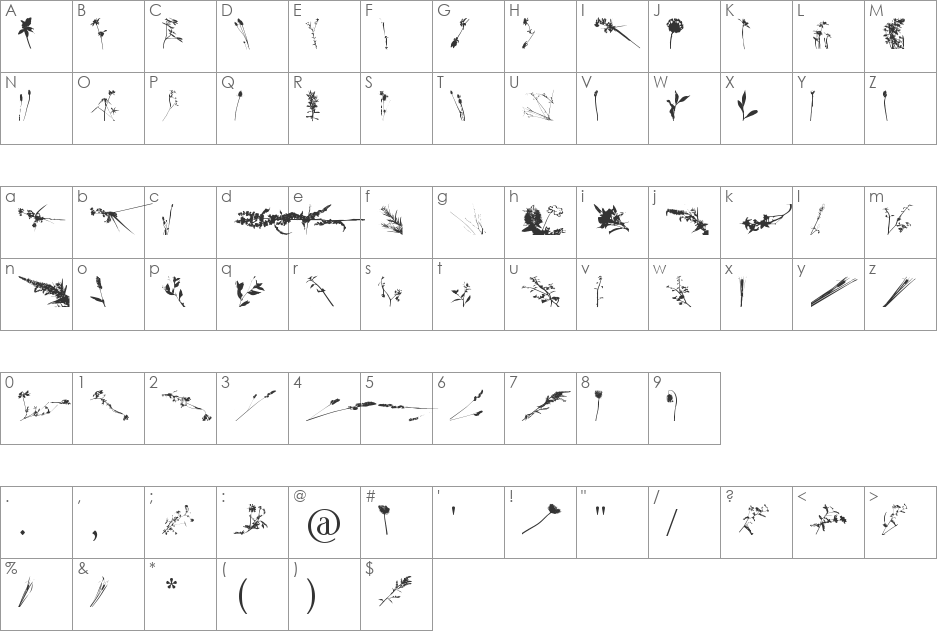 Floral Flush font character map preview